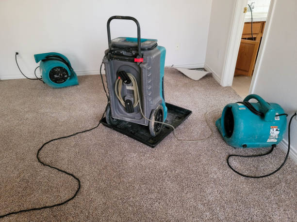 Best Water damage restoration experts  in Carthage, NC