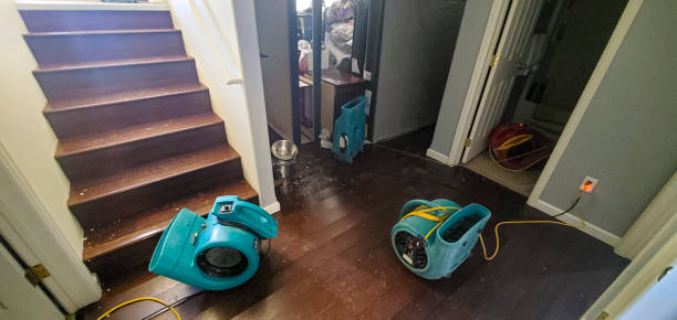 Best Water damage restoration services  in Carthage, NC