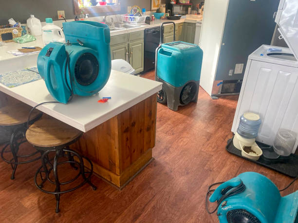 Best Sewage cleanup and water damage restoration  in Carthage, NC