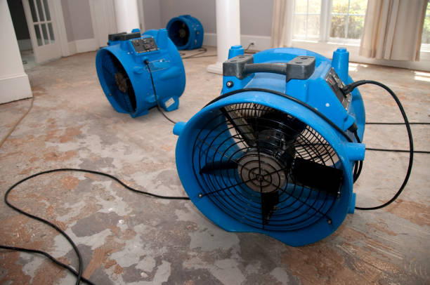 Best Flood damage cleanup  in Carthage, NC