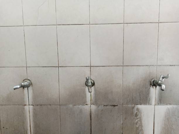 Reliable Carthage, NC Water damage restoration Solutions