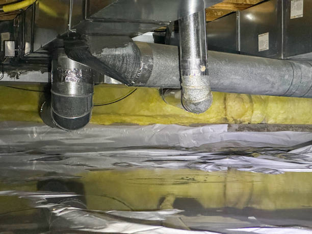 Best 24/7 water damage repair  in Carthage, NC