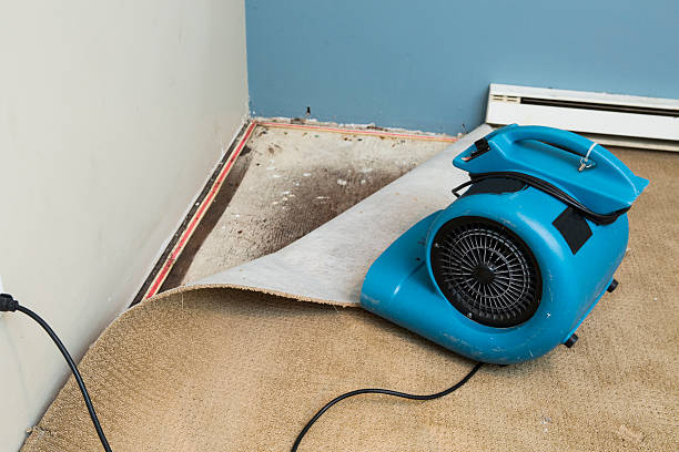 Best Water damage restoration insurance claims  in Carthage, NC